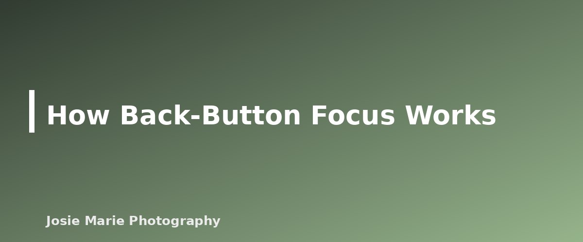 How Back-Button Focus Works - section banner for Back-Button Focus for Beginners
