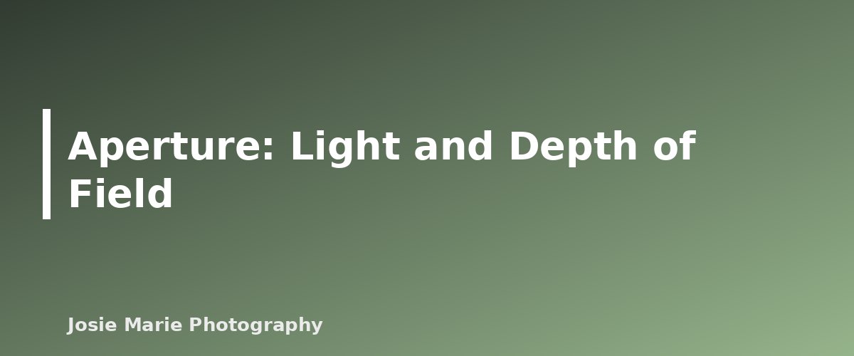 Aperture: Light and Depth of Field - section banner for Exposure Triangle Explained