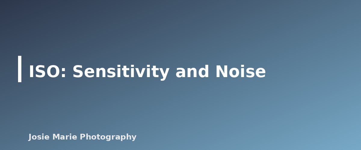 ISO: Sensitivity and Noise - section banner for Exposure Triangle Explained