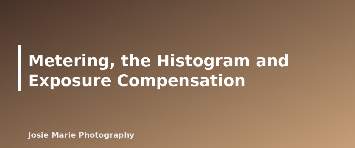 Metering, the Histogram and Exposure Compensation - section banner for Exposure Triangle Explained