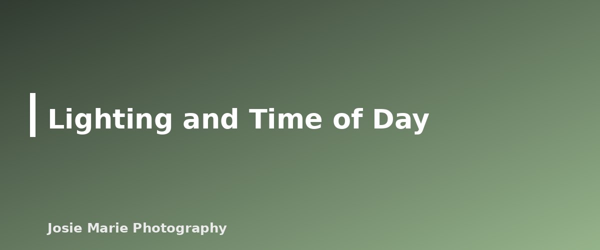 Lighting and Time of Day - section banner for Family Photography Guide