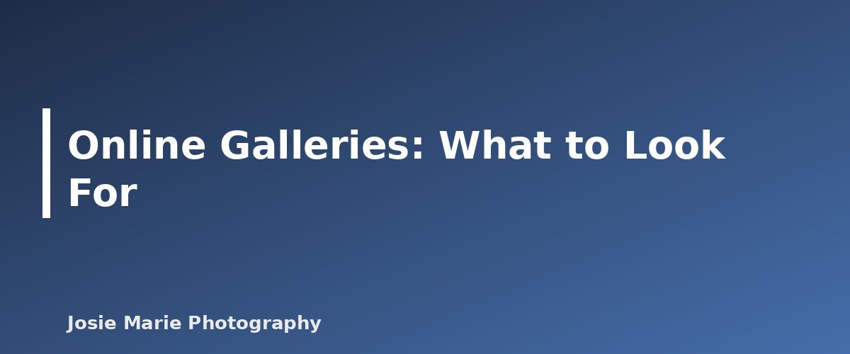 Online Galleries: What to Look For - illustration for How to Deliver Photos to Clients: Online Galleries, Prints and Licensing Basics