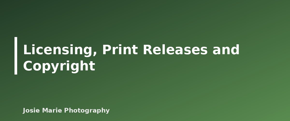 Licensing, Print Releases and Copyright - illustration for How to Deliver Photos to Clients: Online Galleries, Prints and Licensing Basics