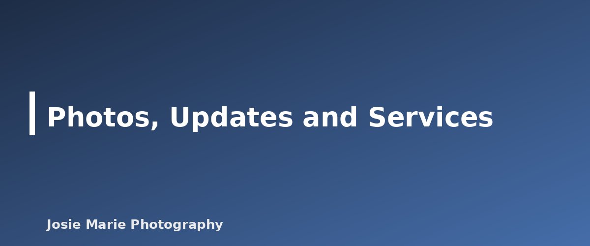 Photos, Updates and Services - illustration for Local SEO for Photographers: Google Business Profile Basics That Help Clients Find You