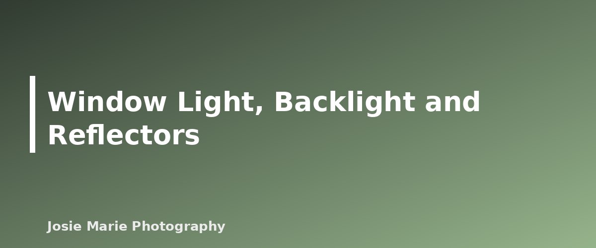 Window Light, Backlight and Reflectors - illustration for Natural Light Portrait Basics for Beginners