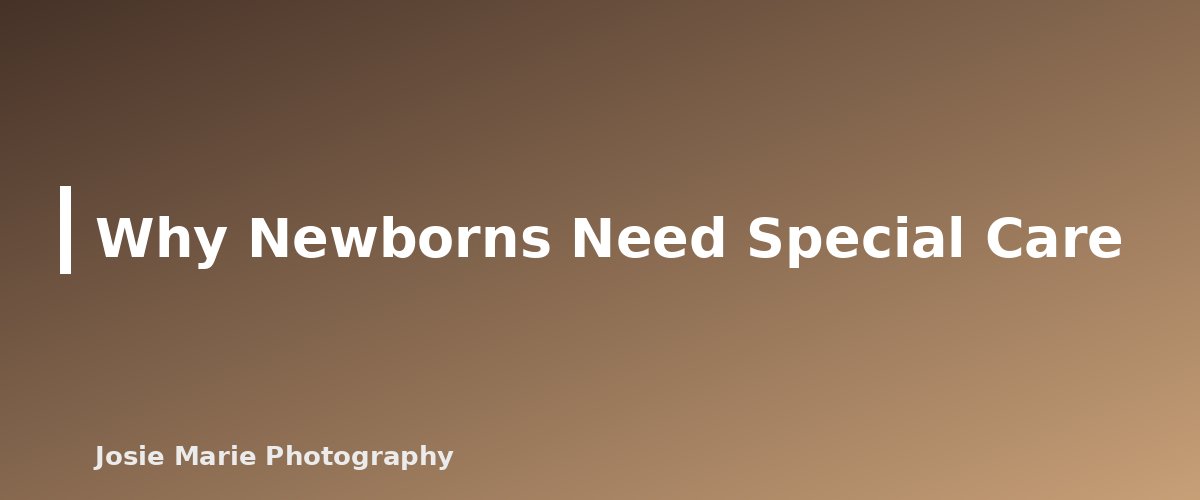 Why Newborns Need Special Care - section banner for Newborn Photo Safety Basics for Beginners