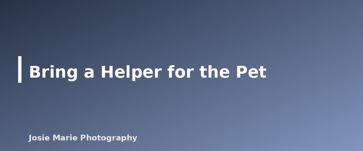 Bring a Helper for the Pet - section banner for Pet-Friendly Family Photo Tips