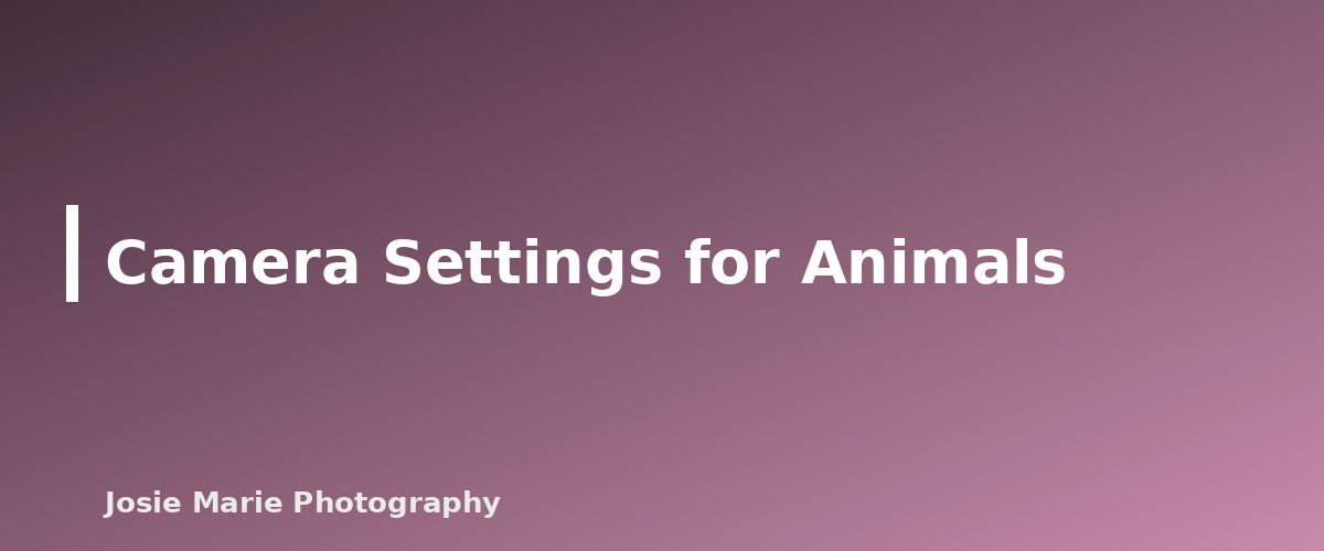 Camera Settings for Animals - section banner for Pet-Friendly Family Photo Tips