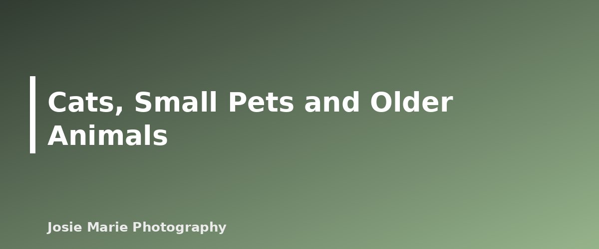 Cats, Small Pets and Older Animals - section banner for Pet-Friendly Family Photo Tips