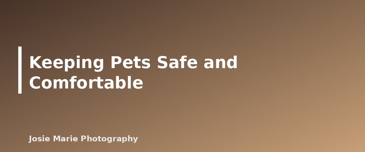 Keeping Pets Safe and Comfortable - section banner for Pet-Friendly Family Photo Tips