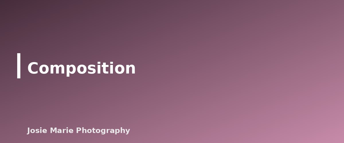 Composition - section banner for Photography Basics