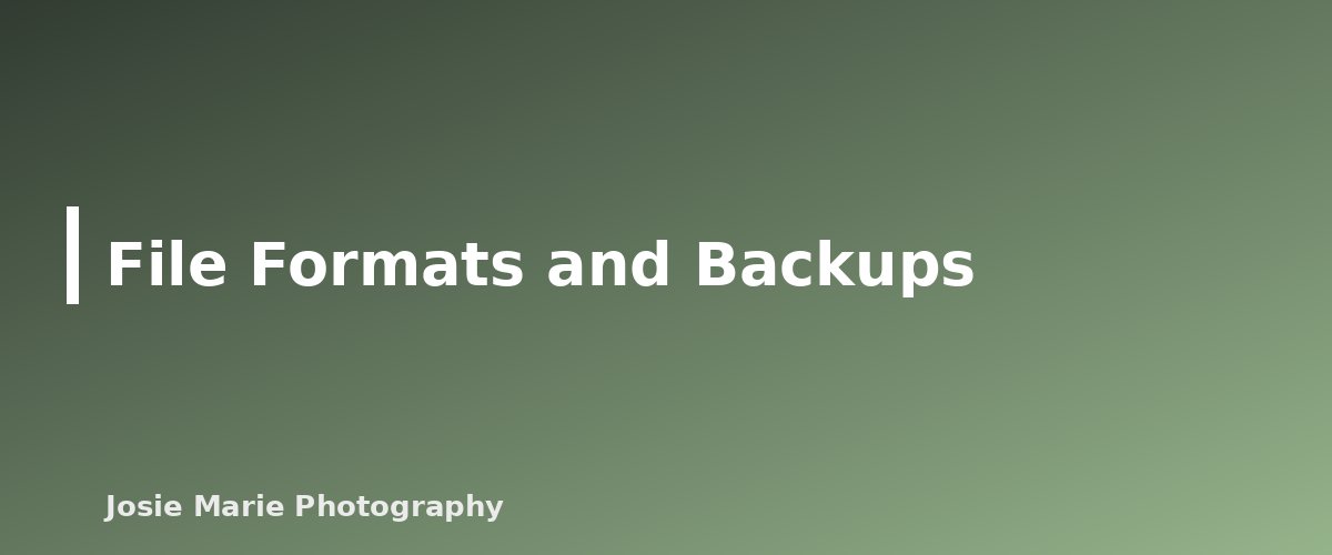 File Formats and Backups - section banner for Photography Basics