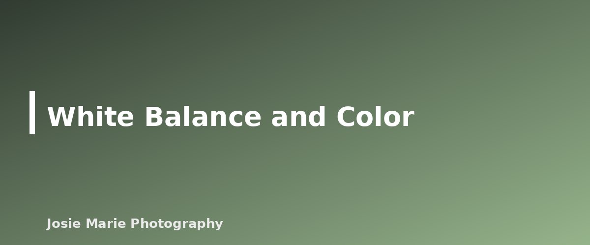 White Balance and Color - section banner for Photography Basics