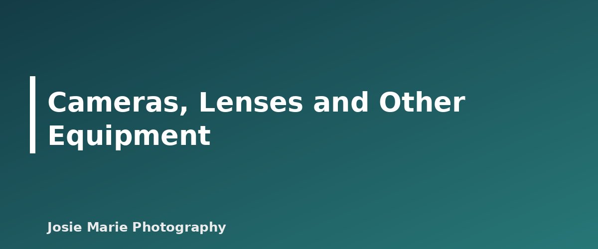 Cameras, Lenses and Other Equipment - illustration for Photography Business Taxes: What to Track, What to Keep and What to Ask Your Tax Pro