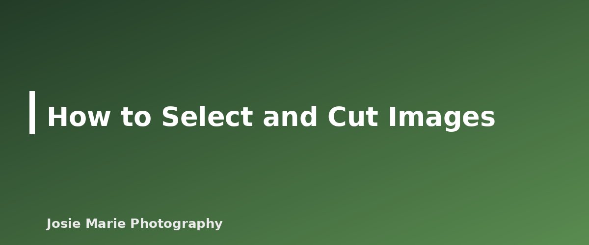 How to Select and Cut Images - illustration for Photography Portfolio: How Many Images to Include and Which Ones to Choose