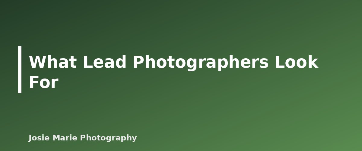 What Lead Photographers Look For - illustration for Second Shooting: How to Get Experience Working Alongside Another Photographer